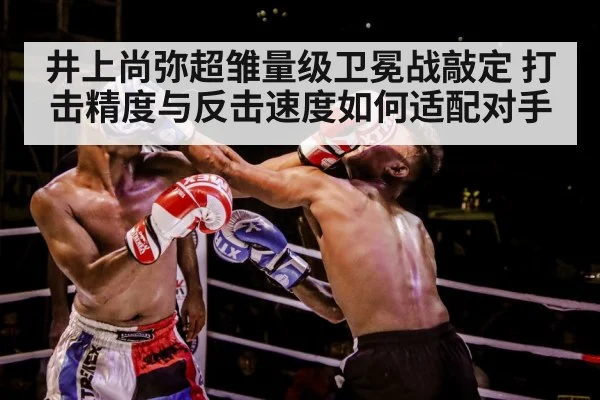 boxer training gloves