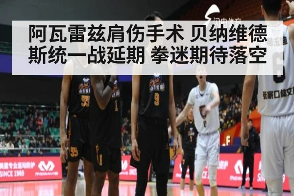 阿瓦雷兹肩伤手术 贝纳维德斯统一战延期 拳迷期待落空